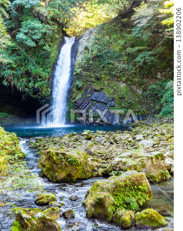 The refreshing scenery of Joren Falls in Izu The refreshing scenery of Joren Falls in Izu 138902206