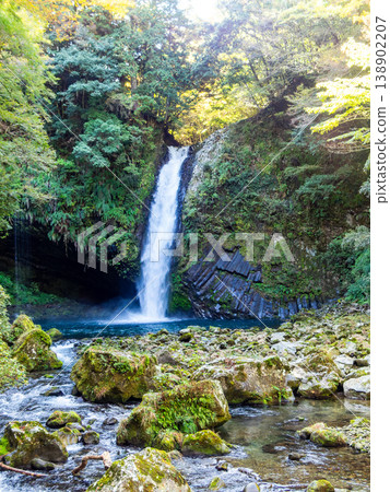 The refreshing scenery of Joren Falls in Izu 138902207