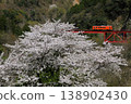 Cherry blossoms in full bloom and the Etsumi-Hokubu Line crossing a railway bridge 138902430