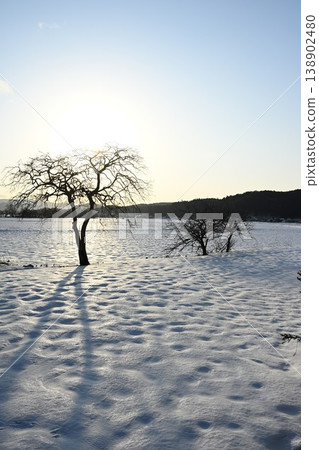 Snow-covered land silhouetted against the setting sun (Inawashiro Town, Fukushima Prefecture) Snow-covered land silhouetted against the setting sun (Inawashiro Town, Fukushima Prefecture) 138902480