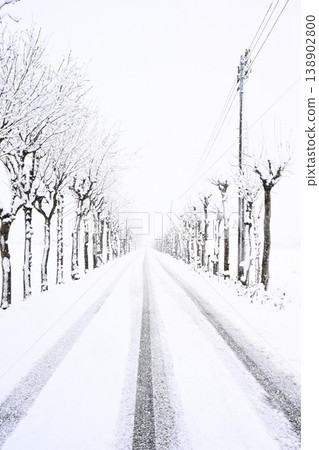 Snow-covered rows of snow-covered trees at Manganji Temple (Niitsu, Akiha Ward, Niigata City, Niigata Prefecture) 138902800