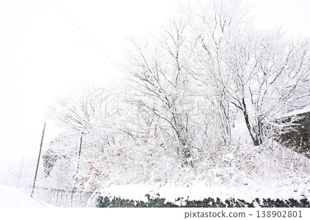 Snow-covered rows of snow-covered trees at Manganji Temple (Niitsu, Akiha Ward, Niigata City, Niigata Prefecture) Snow-covered rows of snow-covered trees at Manganji Temple (Niitsu, Akiha Ward, Niigata City, Niigata Prefecture) 138902801