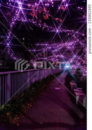 燈光秀 ~東京目黑川 大家的燈光秀 - 19~ 138902893