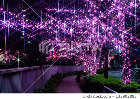 燈光秀 ~東京目黑川 大家的燈光秀 21~ 138902895