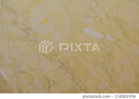 Ammonite fossils on a marble wall 138902956