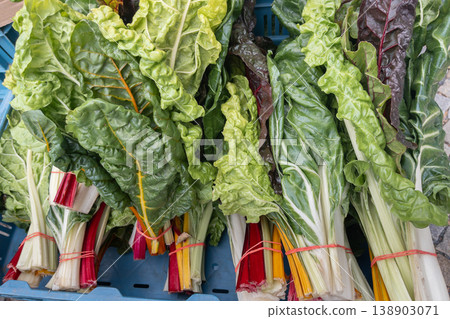 Freshly harvested Swiss chard bundles with vibrant green and red stems in blue crate Freshly harvested Swiss chard bundles with vibrant green and red stems in blue crate 138903071