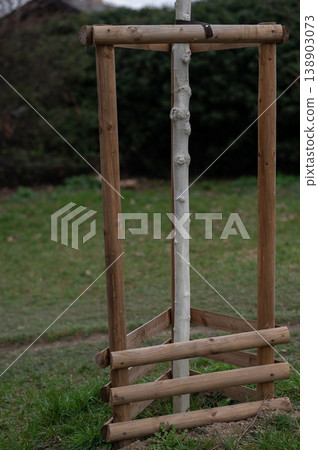 Wooden support frame surrounding young tree in grassy area with shrubbery in background Wooden support frame surrounding young tree in grassy area with shrubbery in background 138903073