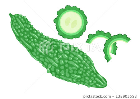 手繪風格苦瓜向量圖 138903558