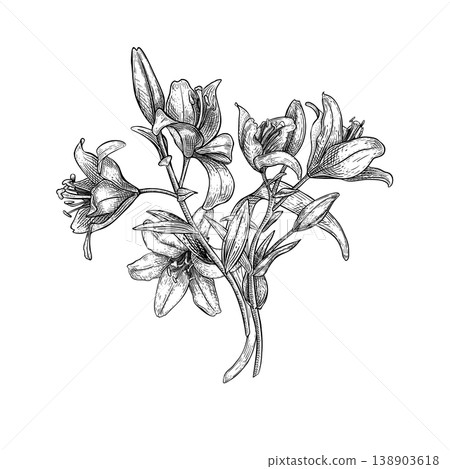 Beautiful lily flower bouquet black white vector illustration. Monochrome floral drawing on white background. Elegant botanical etch art for communion card, wedding invitation, baptism ceremony. Beautiful lily flower bouquet black white vector illustration. Monochrome floral drawing on white background. Elegant botanical etch art for communion card, wedding invitation, baptism ceremony. 138903618