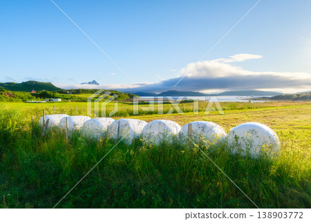 Harvested hay bales in a field with mountains and fjords in Lofoten, Norway. 138903772