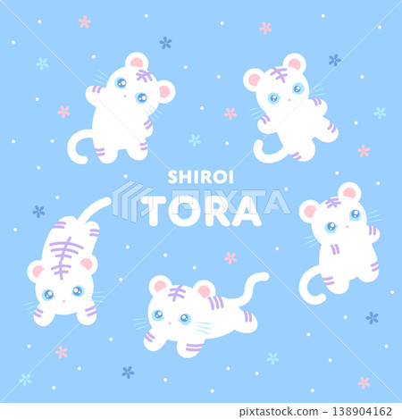 Cute White Tiger Character Illustration Set with Blue Background and Floral Decorations Cute White Tiger Character Illustration Set with Blue Background and Floral Decorations 138904162