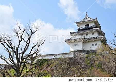A view of the castle tower from near the Ninomaru Art Museum in Kakegawa City (Shizuoka Prefecture) A view of the castle tower from near the Ninomaru Art Museum in Kakegawa City (Shizuoka Prefecture) 138904187