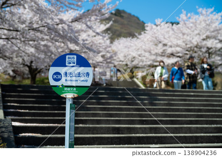 巴士停靠在佛光山法水寺,那裡櫻花盛開。 巴士停靠在佛光山法水寺,那裡櫻花盛開。 138904236