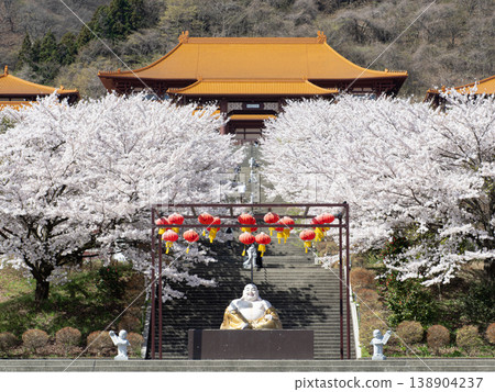 佛光山髮水廟櫻花盛開 138904237