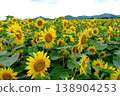 A landscape of sunflower fields stretching out against a backdrop of mountains. 138904253