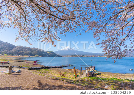 Cherry blossoms, Lake Kawaguchi, Mount Fuji Cherry blossoms, Lake Kawaguchi, Mount Fuji 138904259