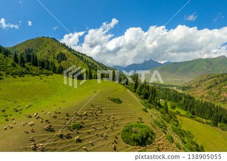 Numerous sheep grazing in serene mountainous landscape Numerous sheep grazing in serene mountainous landscape 138905055