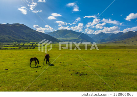 Adult horse and foal grazing in green meadow, Kyrgyzstan Adult horse and foal grazing in green meadow, Kyrgyzstan 138905063