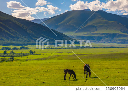 Adult horse grazing with foal in serene grassland 138905064
