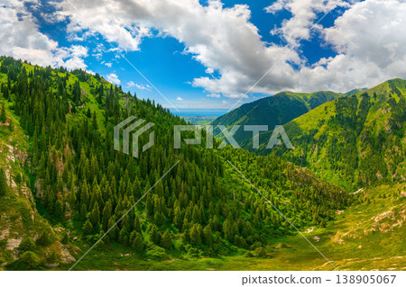 Majestic mountains and lush forests under partly cloudy sky 138905067