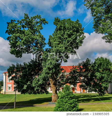 Iversky monastery in Valdai, Russia. Landmark - 300-year-old oak. 138905305