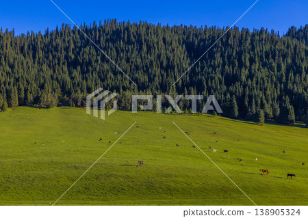 Horses and cows grazing in serene mountain meadow Horses and cows grazing in serene mountain meadow 138905324