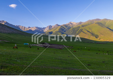 Horses, cows, sheep, and goats grazing in Kyrgyzstan meadow Horses, cows, sheep, and goats grazing in Kyrgyzstan meadow 138905329