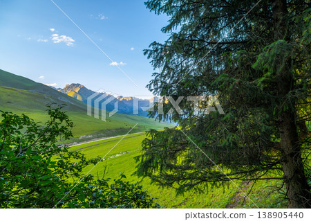 Herd of horses grazing in serene mountainous valley view from behind the trees Herd of horses grazing in serene mountainous valley view from behind the trees 138905440