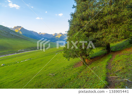 Horses and sheep grazing at the distance in serene Kyrgyzstan meadow Horses and sheep grazing at the distance in serene Kyrgyzstan meadow 138905441