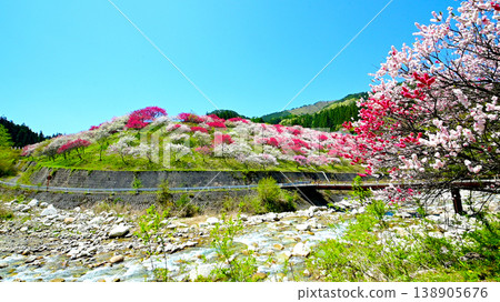 Minami Shinshu Achi Village Japan's No. 1 Hanamomo no Sato 138905676