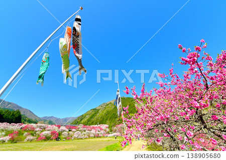 Southern Shinshu Achi Village: Peach Blossom Village and Carp Streamers Southern Shinshu Achi Village: Peach Blossom Village and Carp Streamers 138905680