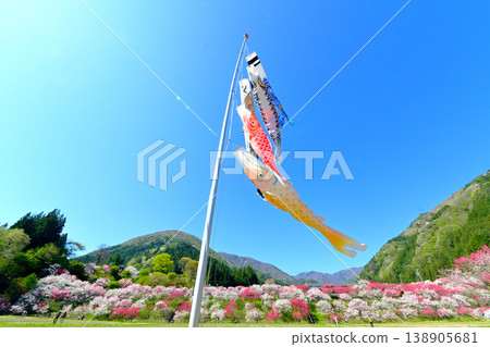 信州南部阿知村:桃花村和鯉魚旗 信州南部阿知村:桃花村和鯉魚旗 138905681