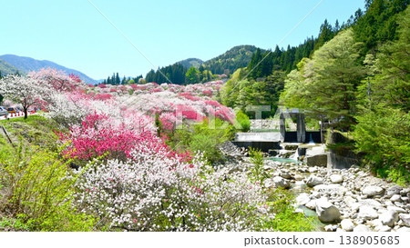 Minami Shinshu Achi Village Japan's No. 1 Hanamomo no Sato 138905685