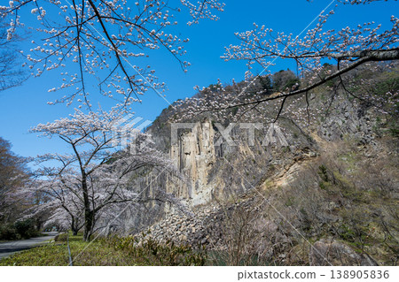 木石與盛開的櫻花 138905836