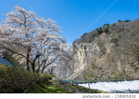 木石與盛開的櫻花 138905838