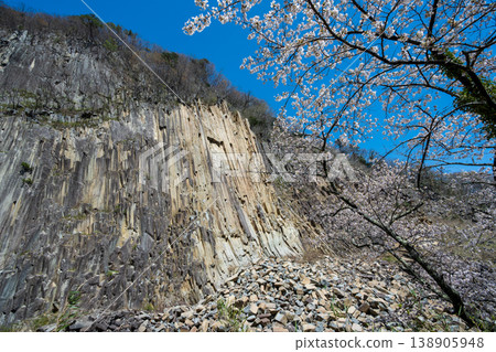 Timber Rock and Cherry Blossoms in Full Bloom Timber Rock and Cherry Blossoms in Full Bloom 138905948