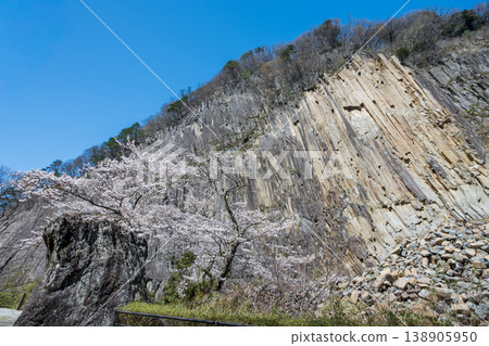 Timber Rock and Cherry Blossoms in Full Bloom Timber Rock and Cherry Blossoms in Full Bloom 138905950
