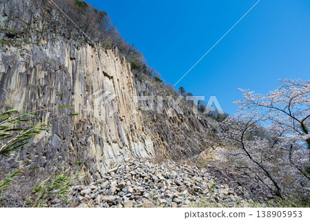 木石與盛開的櫻花 木石與盛開的櫻花 138905953