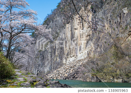 Timber Rock and Cherry Blossoms in Full Bloom Timber Rock and Cherry Blossoms in Full Bloom 138905963