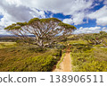 The Huts Walk at Mt Hotham in Australia 138906511