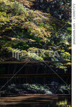 Ichinomiya, Mori-machi, Shuchi-gun, Shizuoka Prefecture Okuni Shrine and the surrounding scenery Ichinomiya, Mori-machi, Shuchi-gun, Shizuoka Prefecture Okuni Shrine and the surrounding scenery 138907372