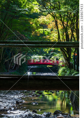 Ichinomiya, Mori-machi, Shuchi-gun, Shizuoka Prefecture Okuni Shrine and the surrounding scenery Ichinomiya, Mori-machi, Shuchi-gun, Shizuoka Prefecture Okuni Shrine and the surrounding scenery 138907433