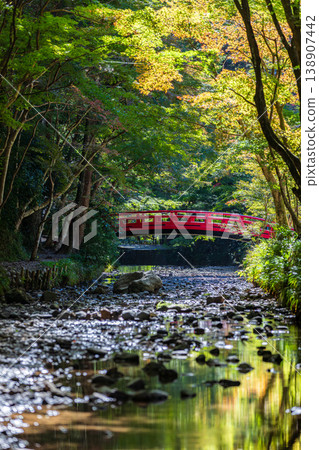 Ichinomiya, Mori-machi, Shuchi-gun, Shizuoka Prefecture Okuni Shrine and the surrounding scenery Ichinomiya, Mori-machi, Shuchi-gun, Shizuoka Prefecture Okuni Shrine and the surrounding scenery 138907442