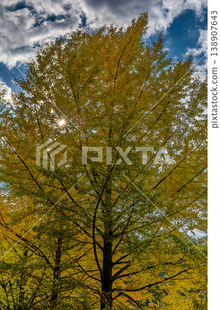 Tonozume, Morimachi, Shuchi District, Shizuoka Prefecture: Mountain village scenery 138907643