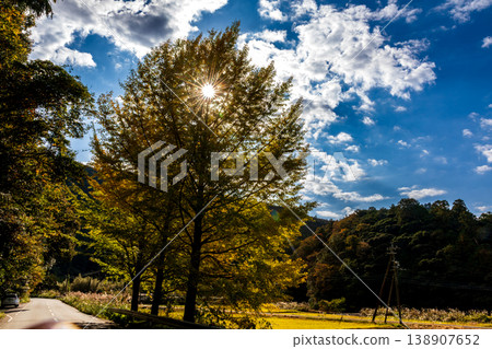 靜岡縣秀知郡守町戶野爪：山村風光 138907652