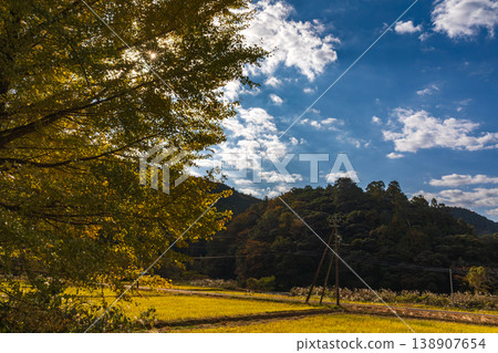靜岡縣秀知郡守町戶野爪：山村風光 138907654