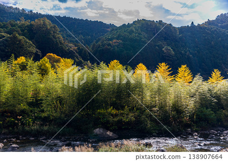 靜岡縣秀知郡守町戶野爪:山村風光 靜岡縣秀知郡守町戶野爪:山村風光 138907664