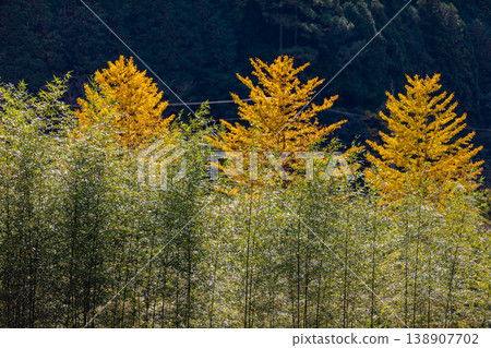 靜岡縣秀知郡守町戶野爪:山村風光 靜岡縣秀知郡守町戶野爪:山村風光 138907702