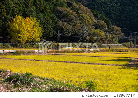 Tonozume, Morimachi, Shuchi District, Shizuoka Prefecture: Mountain village scenery Tonozume, Morimachi, Shuchi District, Shizuoka Prefecture: Mountain village scenery 138907717