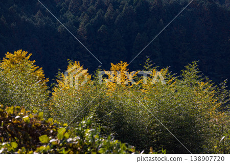 靜岡縣秀知郡守町戶野爪:山村風光 靜岡縣秀知郡守町戶野爪:山村風光 138907720